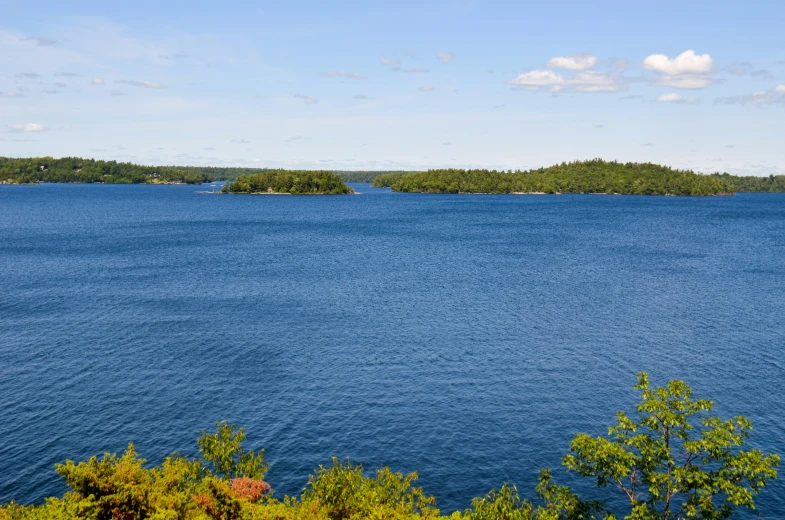 this is a water view with lots of small trees