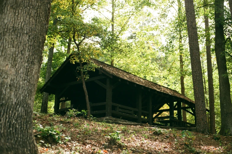 a large building in the middle of some trees