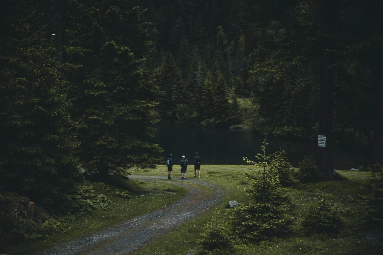 two people are walking across a trail in the woods