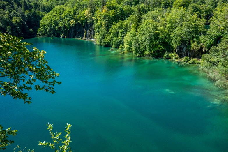 a very deep blue lake surrounded by trees