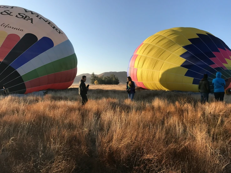 group of people standing in grass looking at  air balloons