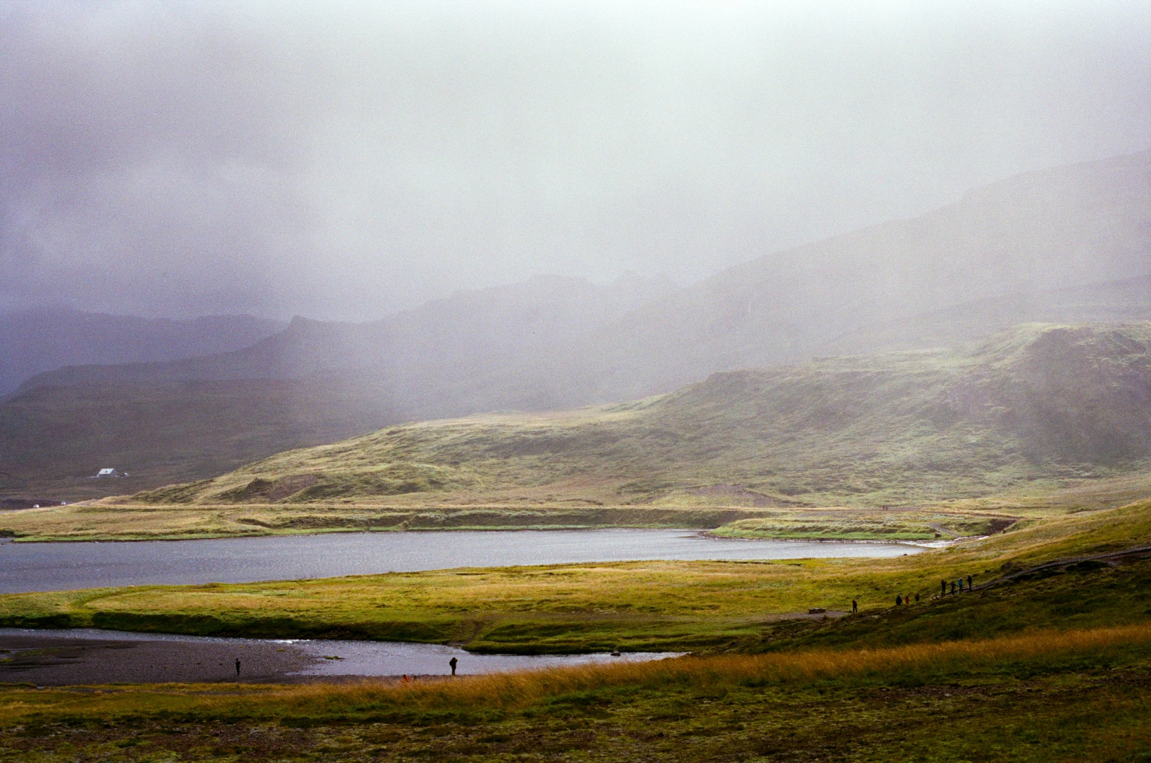 a mountain landscape with some very foggy and grassy fields