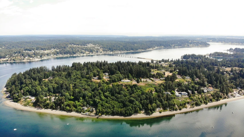 an island surrounded by large water and trees