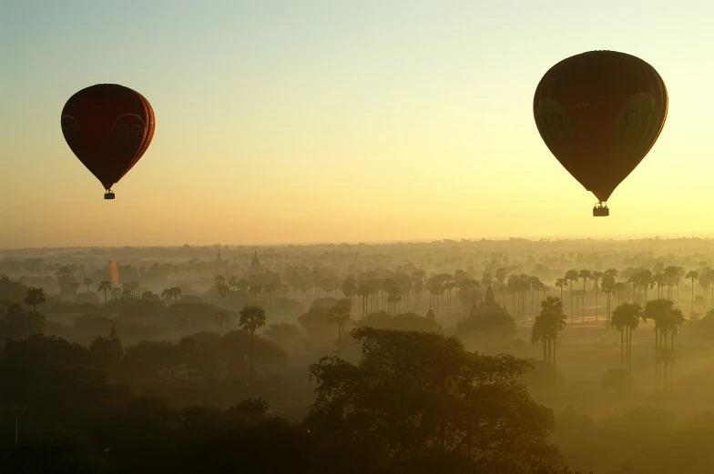 many balloons fly high in the air at sunrise