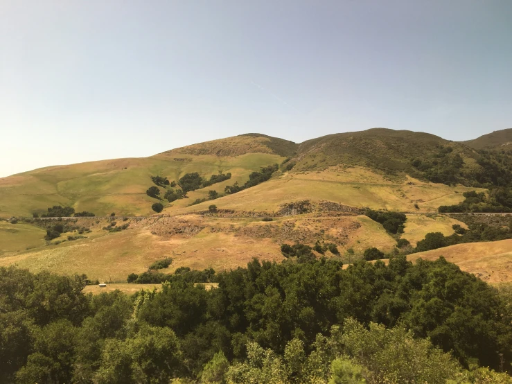 a picture of a hill surrounded by trees