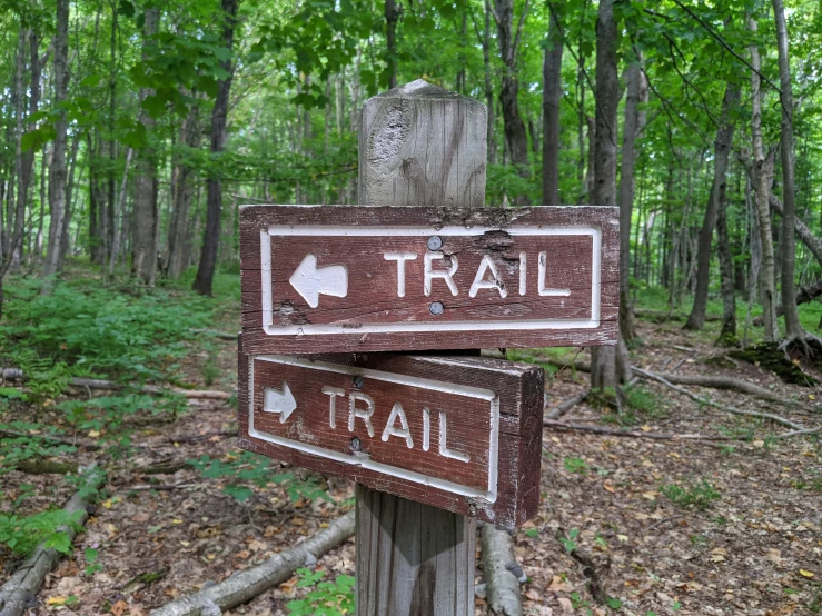 two directional signs are next to a trail in the woods