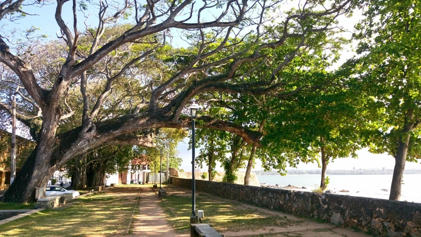 a path leads down to an area with water in the background