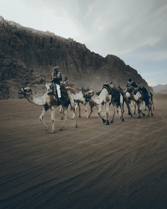 men riding camels with camels on the sides of them
