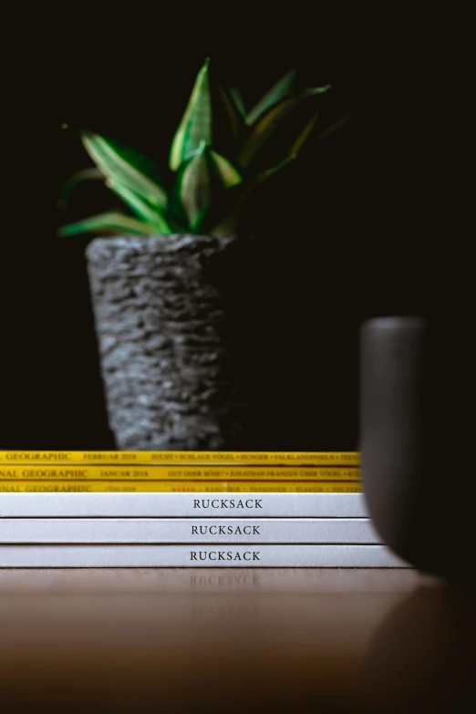 stack of books with plant next to it in black background