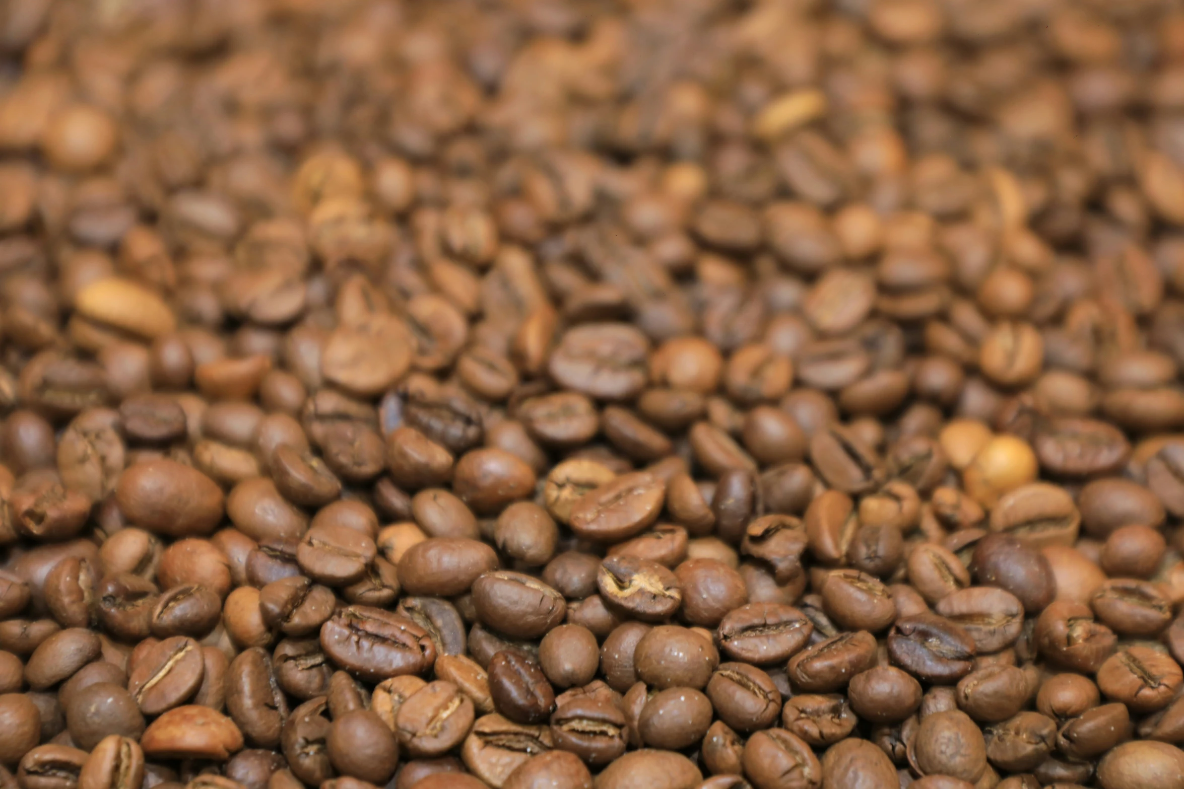 a close up picture of some coffee beans