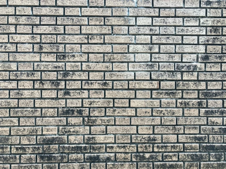 a brick wall made of various sized bricks with an unpaved paint layer