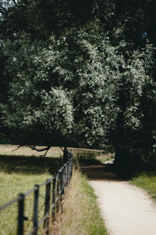 the dirt road is very low to reach