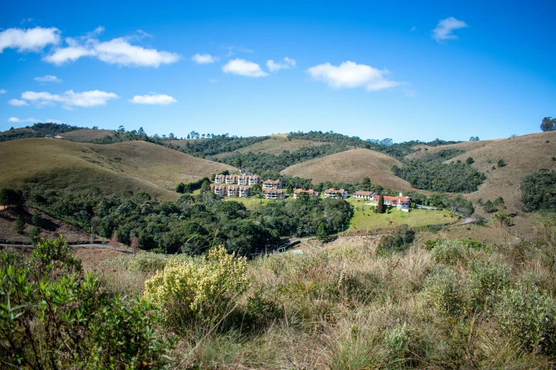 a field is in the foreground while buildings on the hill in the background stand out from the trees