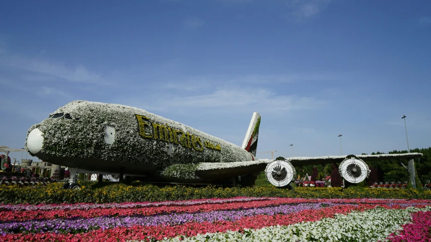 the huge plane is made out of flowers