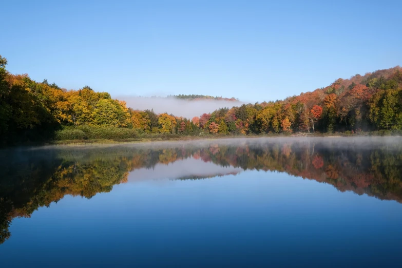 trees are on the bank of a large lake