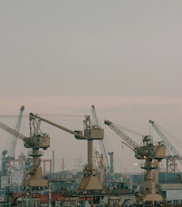 a po taken looking at several cranes