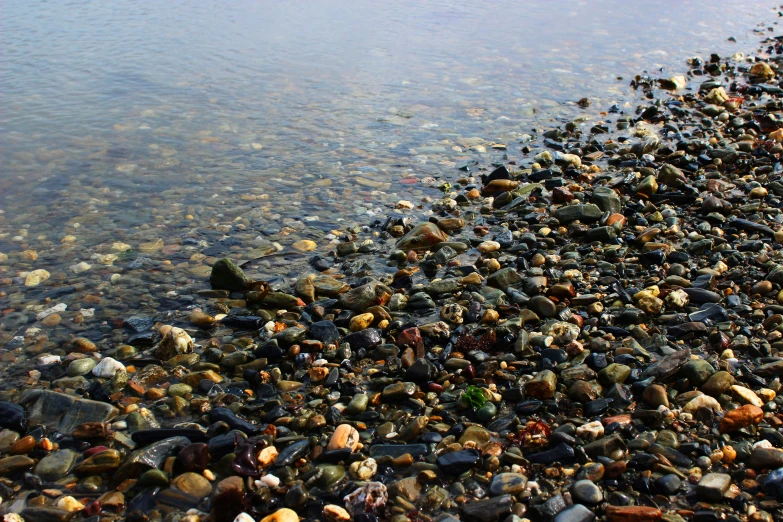 rocks lined up in the water next to a beach