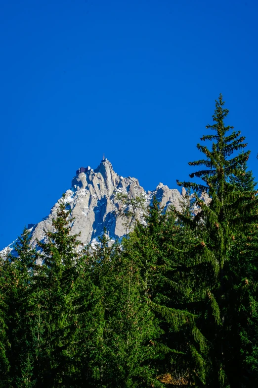 an image of trees and mountains in the background