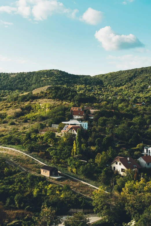 a forested hillside surrounded by houses and trees