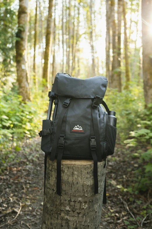 a black backpack with straps on a tree stump in the woods