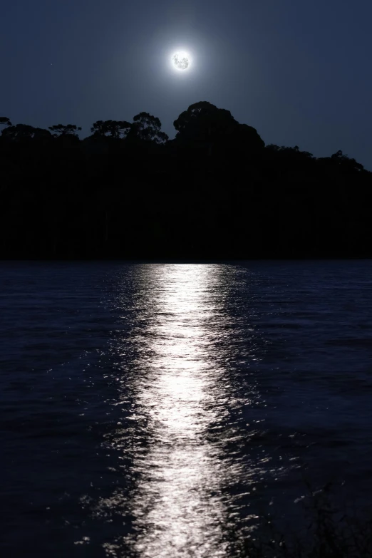 the moon rises above the trees and is reflecting on the water