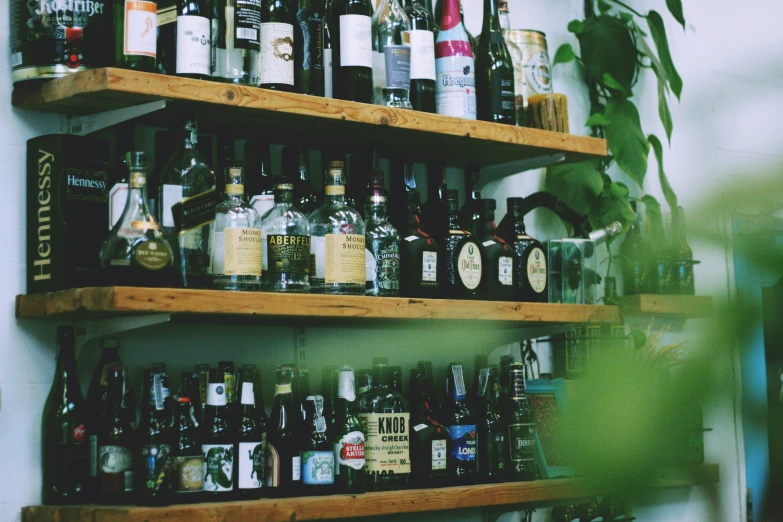 shelves of alcohol, bottles and spirits are lined up