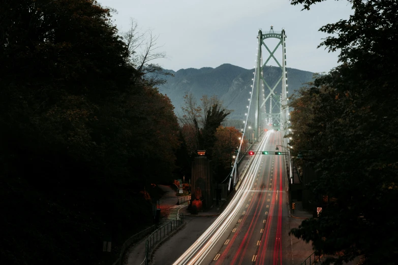 an overpass is shown with trees lining both sides