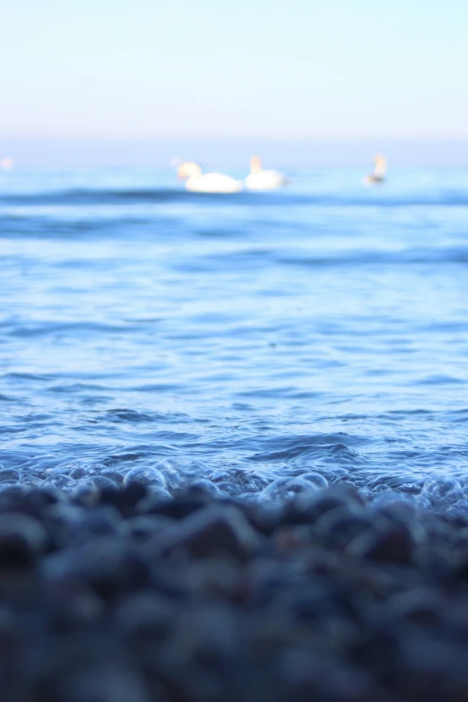 a body of water with some rocks in the foreground