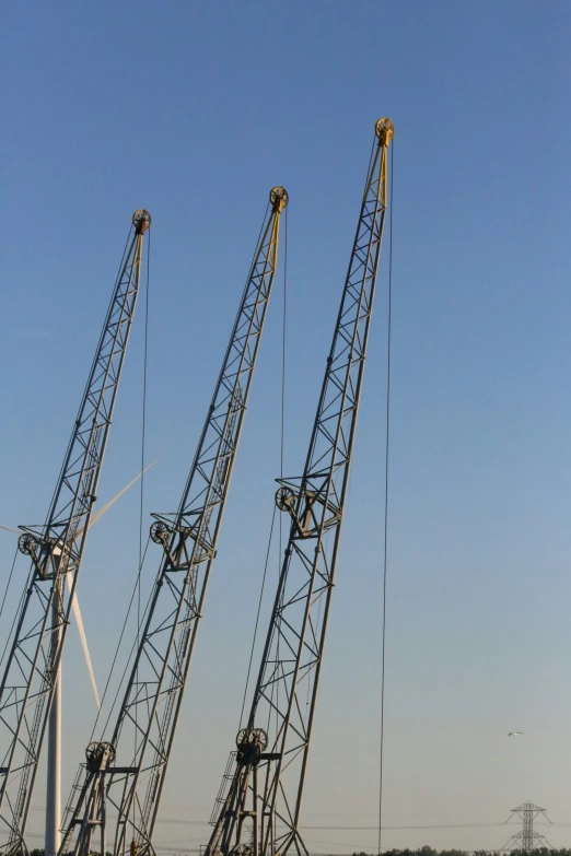 a bunch of cranes standing next to each other