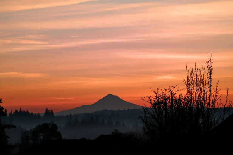 a red sky with trees and the sun in the distance