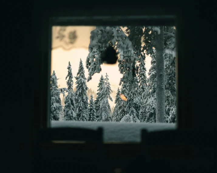 an outbuilding with the view out a window into the woods