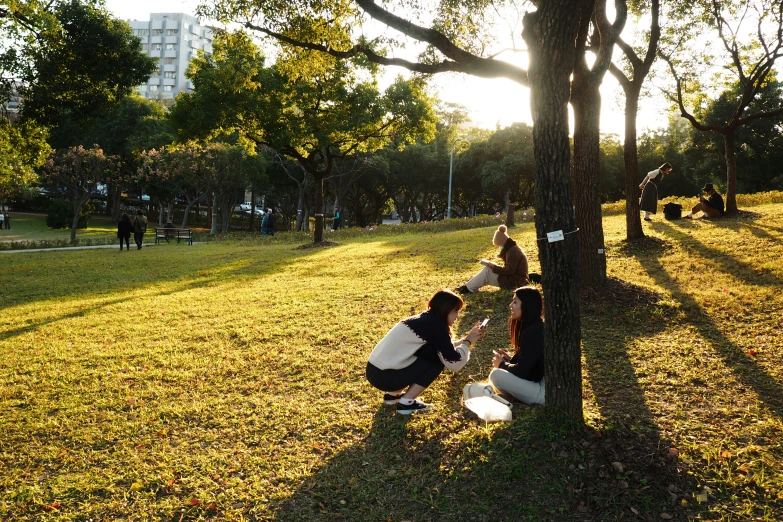 a group of people standing around tree trunks in a park