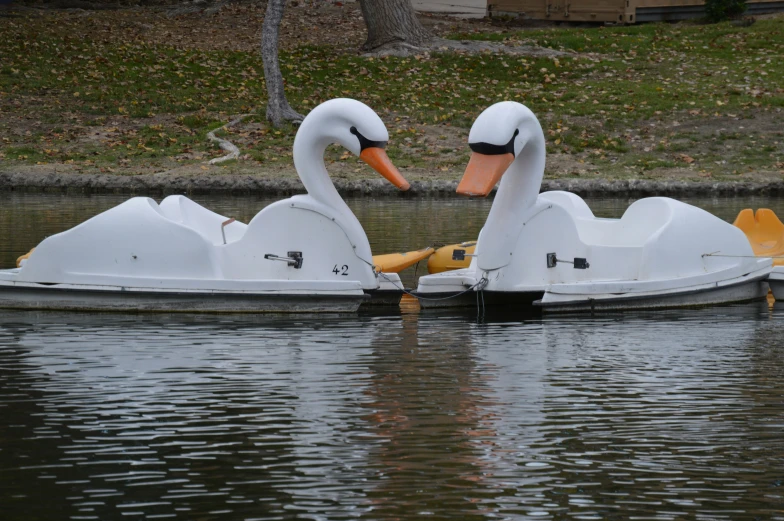 a large white swan on a river with two people behind it