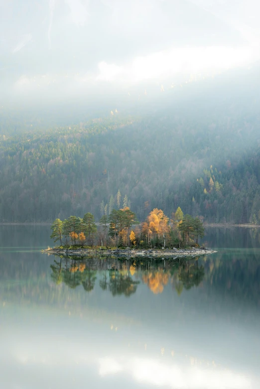 small trees stand on an island in the middle of the lake