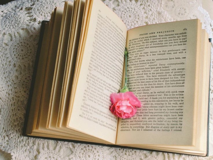 a single pink rose is laying on an open book