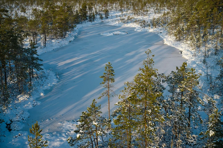 a snow covered road near the woods on a sunny day