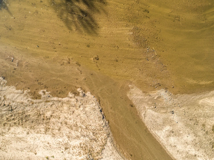 a bird flying above sand and rocks on the beach