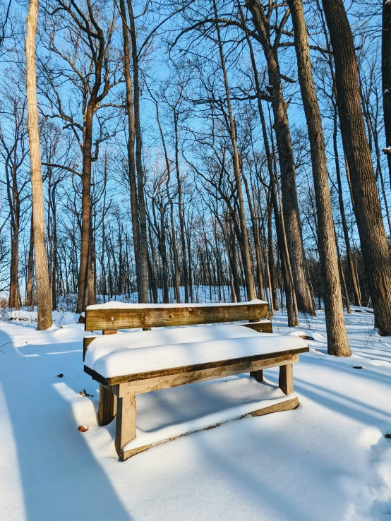 a snow covered wooden bench in a snowy forest