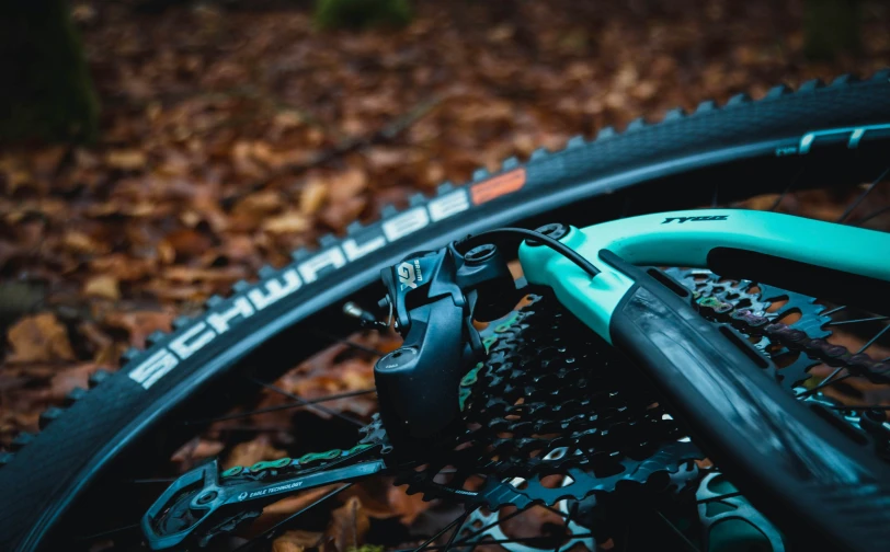 a bicycle with a bicycle tire is on a pile of leaves