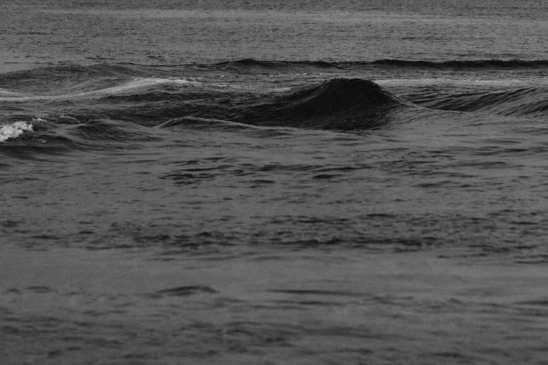 a lone bird on top of a wave at the ocean