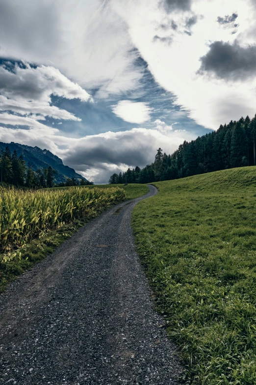 a dirt road splits in two on top of green grass