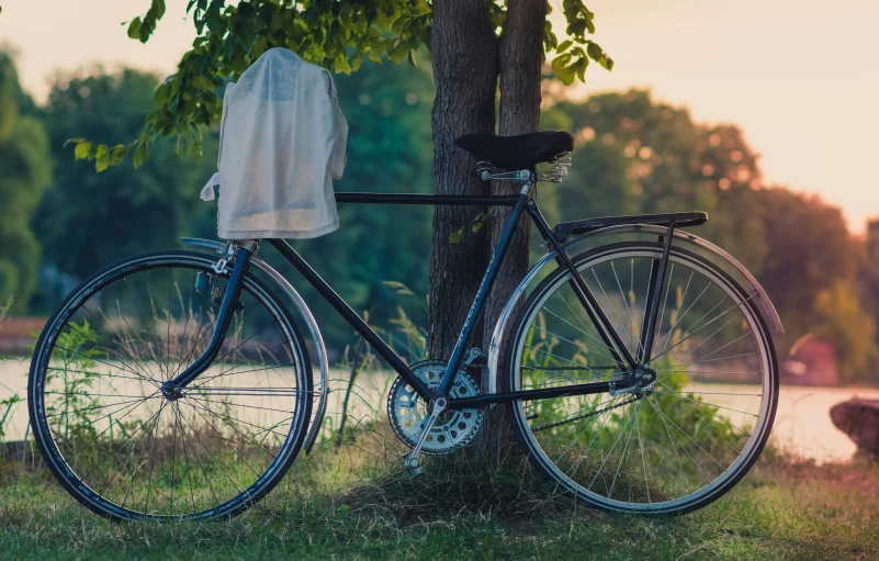 the bike is leaning against the tree next to the water