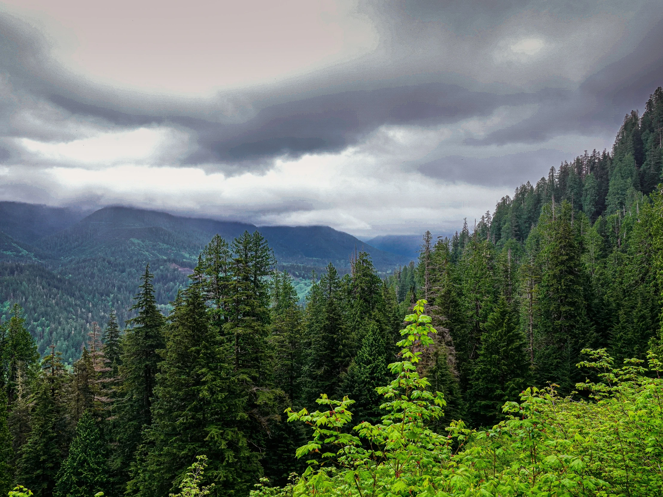 some trees and mountain with some cloudy skies