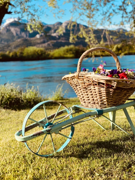 an old garden wheel with some flowers in it