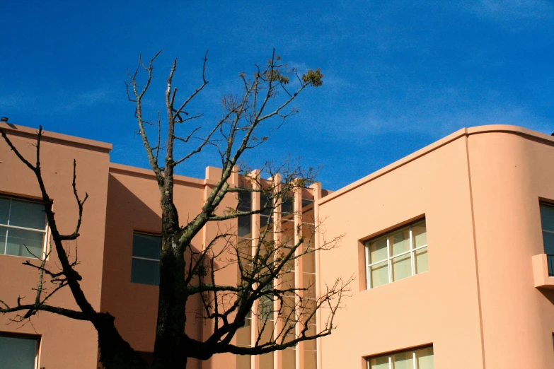 a tree outside of an apartment building with blue sky behind it