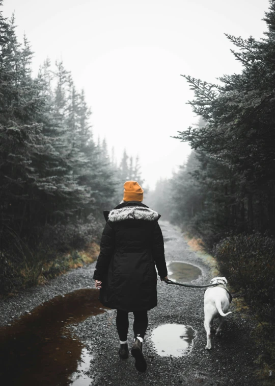 a person walks her dog down a dirt road