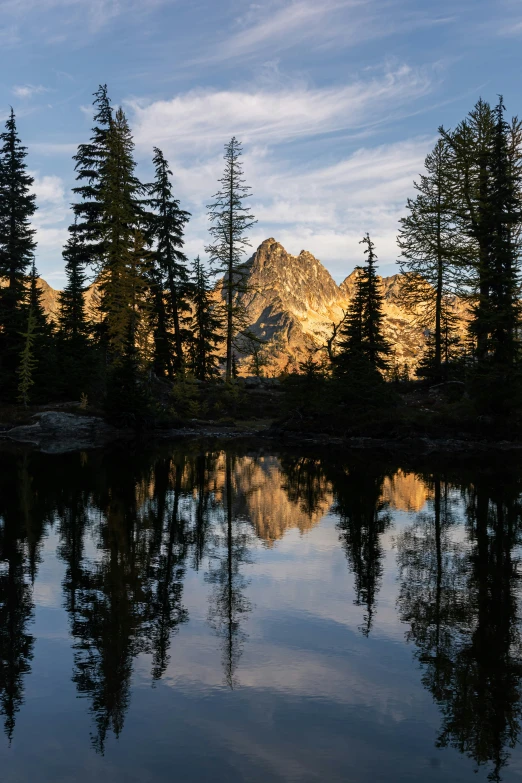 the trees are reflected in the still water