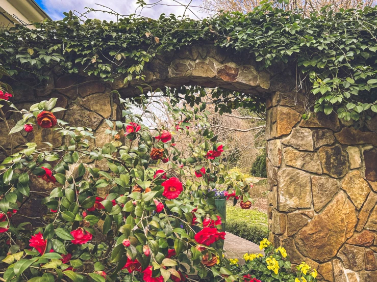 there is a bunch of red flowers growing out of a stone building