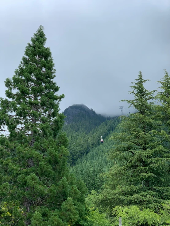 a ski lift is on the mountain in the distance