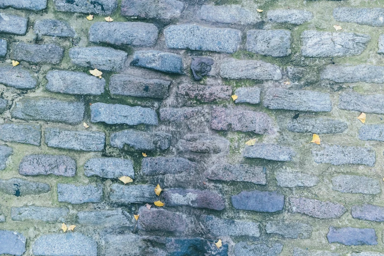 an old street cobble stone with blue tiles